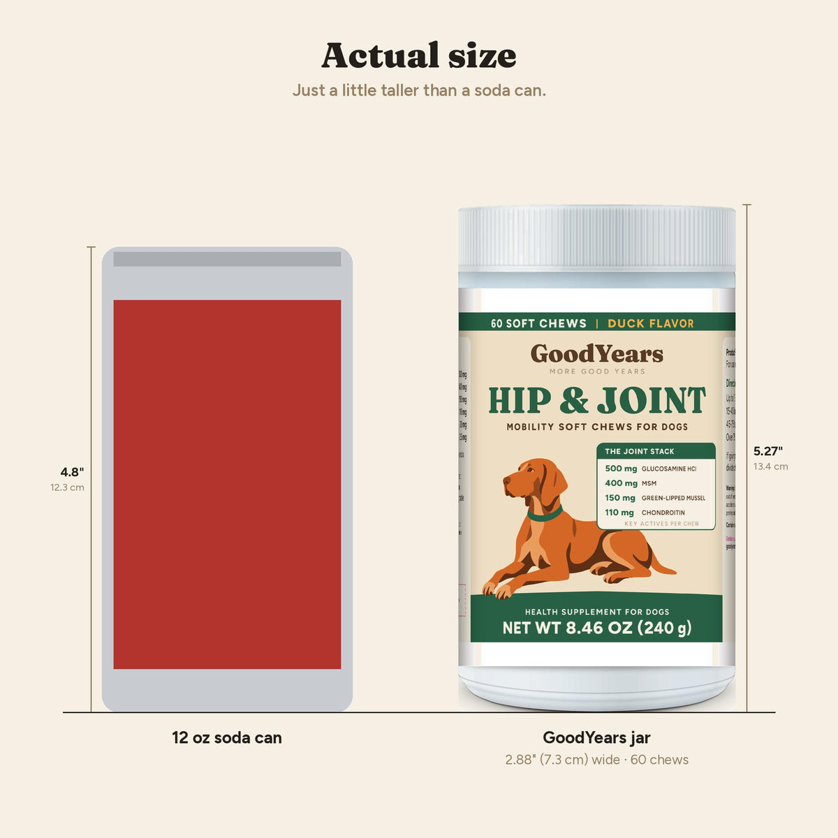 Jar size next to a 12 oz soda can